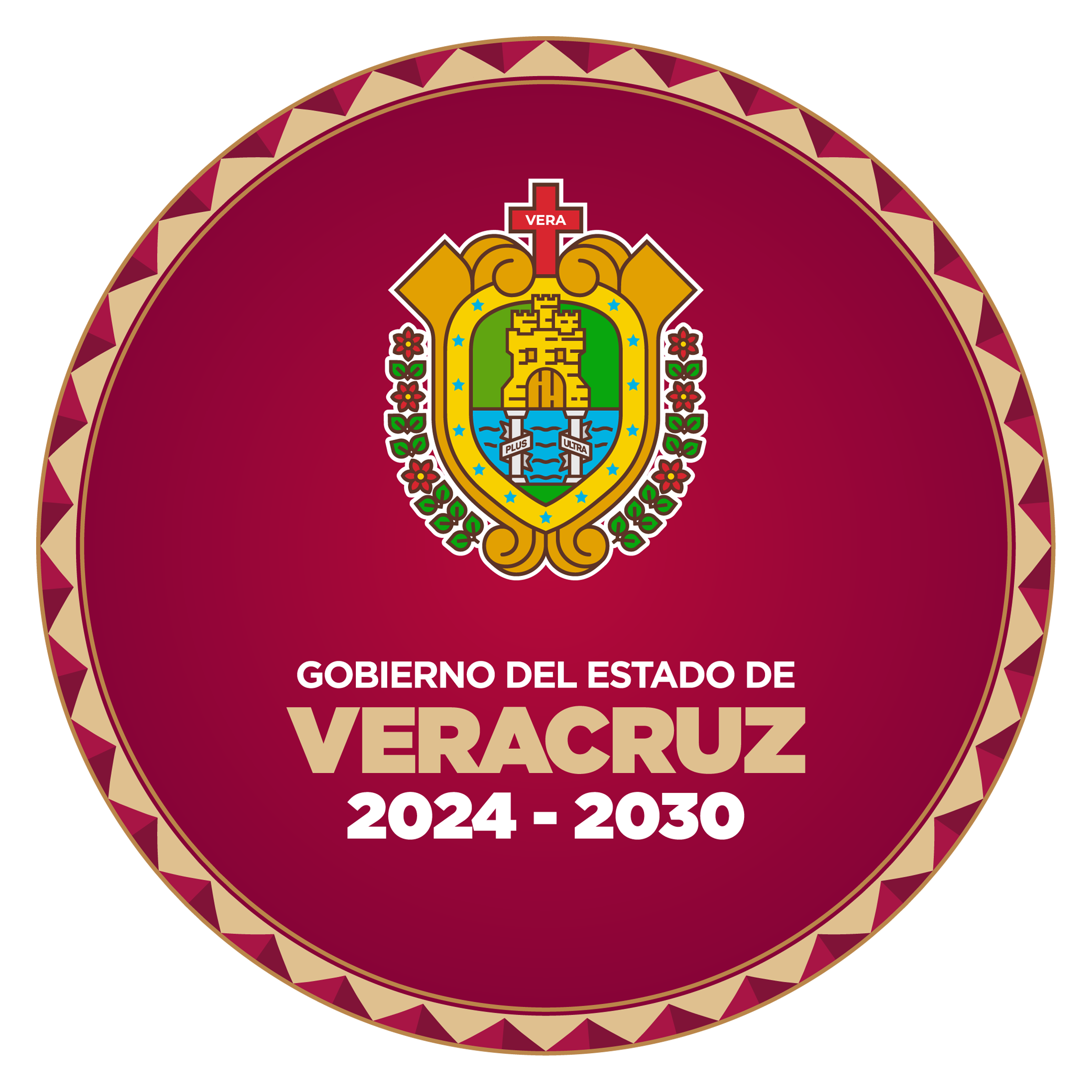 PERFIL_Gobierno del Estado de Veracruz